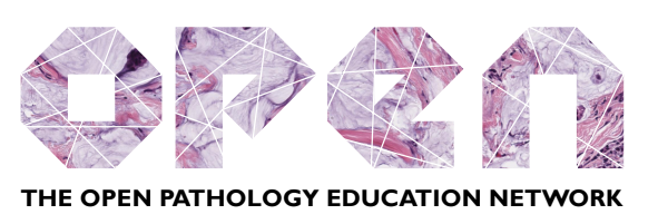 Open Pathology Education Network