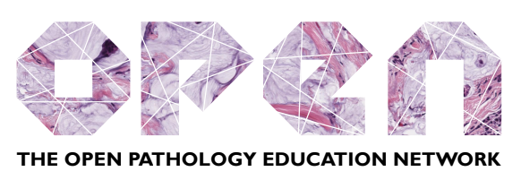Open Pathology